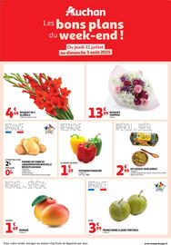 Auchan folder Pagina 1