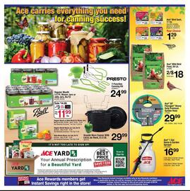Ace Hardware Weekly Ad Page 3