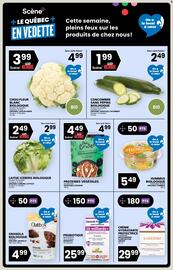 Rachelle-Bery Grocery flyer week 31 Page 5
