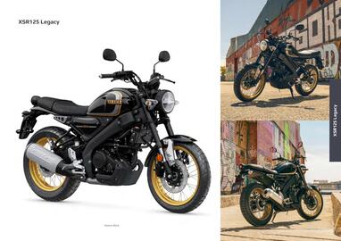 Catalogue Yamaha page 39