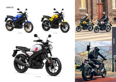Catalogue Yamaha page 45