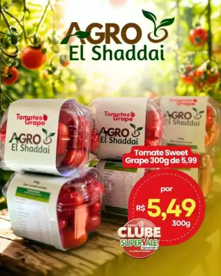 Catálogo Super Vale Supermercados (válido até 31-07)