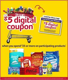 Winn Dixie Weekly Ad week 31 Page 9
