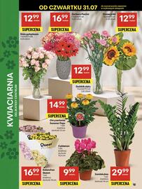 Delikatesy Centrum gazetka tydzień 31 Strona 18