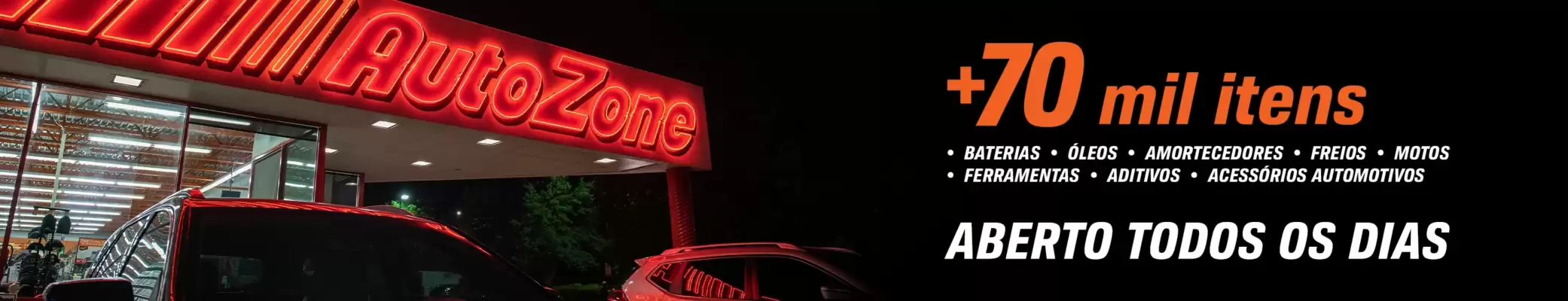 Catálogo AutoZone