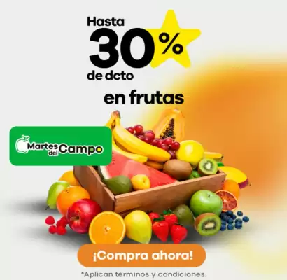 Catálogo Éxito