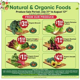 Healthy Planet flyer Page 6