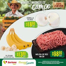 Catálogo Soriana Súper Página 1