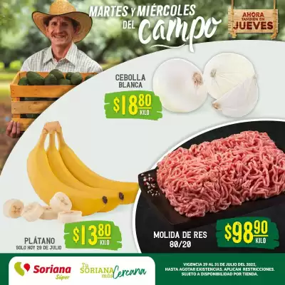 Catálogo Soriana Súper (válido hasta 31-07)
