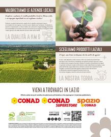 Volantino Conad Pagina 12