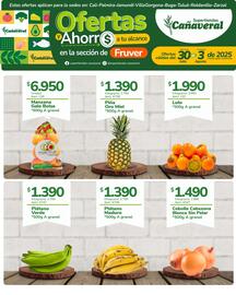 Catálogo Supertiendas Cañaveral semana 31 Página 3