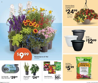 Fred Meyer Weekly Ad week 31 Page 8