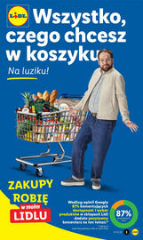 Lidl gazetka Strona 3