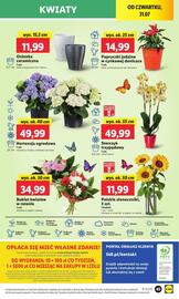 Lidl gazetka Strona 53