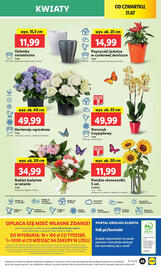 Lidl gazetka Strona 53
