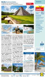 Lidl Reisen Flugblatt Seite 17