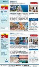 Lidl Reisen Flugblatt Seite 8