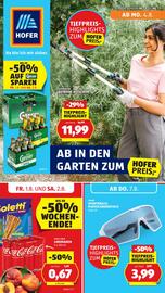 Hofer Flugblatt woche 31 Seite 1