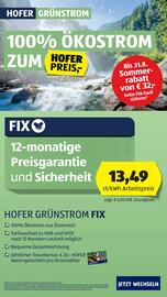 Hofer Flugblatt woche 31 Seite 22
