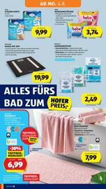Hofer Flugblatt woche 31 Seite 24