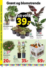 Lidl tilbudsavis uge 32 Side 36