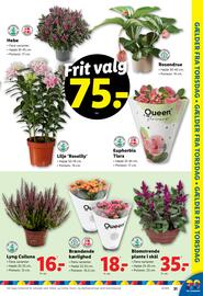 Lidl tilbudsavis uge 32 Side 37