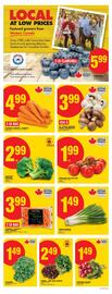 No Frills flyer week 31 Page 5
