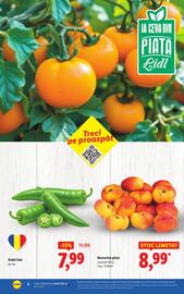 Catalog Lidl săptămâna 32 Pagină 2