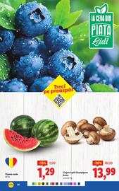 Catalog Lidl săptămâna 32 Pagină 20
