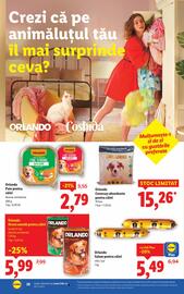 Catalog Lidl săptămâna 32 Pagină 28