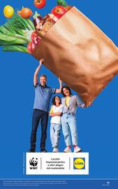 Catalog Lidl săptămâna 32 Pagină 33