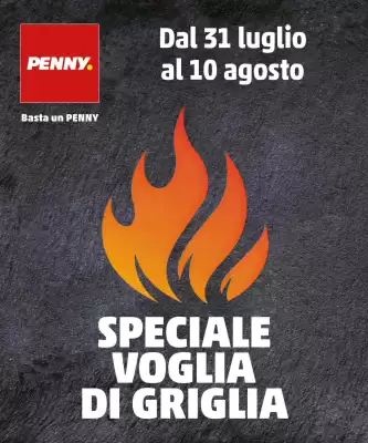 Volantino PENNY (valido fino al 10-08)