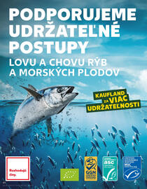 Kaufland SK akciós újság hét 31 Oldal 66