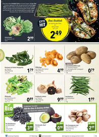 CITTI Markt Prospekt woche 31 Seite 13