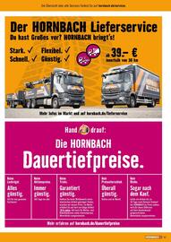 Hornbach Prospekt Seite 81