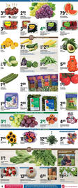 Big Y Weekly Ad week 31 Page 10
