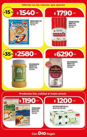 Catálogo Supermercados DIA semana 31 Página 13