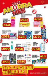 Catálogo Supermercados DIA semana 31 Página 33