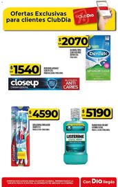 Catálogo Supermercados DIA semana 31 Página 50