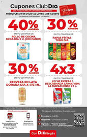 Catálogo Supermercados DIA semana 31 Página 6