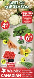 Save on Foods flyer week 31 Page 5