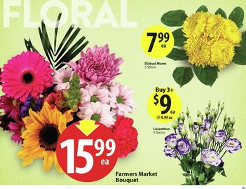 Save on Foods flyer week 31 Page 6