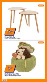 Action Flugblatt woche 31 Seite 14