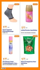 Action Flugblatt woche 31 Seite 25