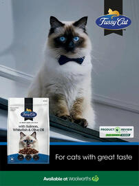 Woolworths catalogue Page 88