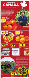 Atlantic Superstore flyer week 31 Page 8