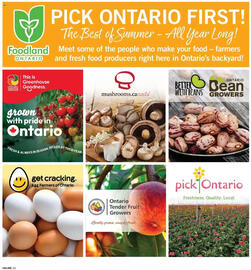 Fortinos flyer week 31 Page 13