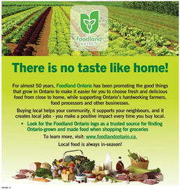Fortinos flyer week 31 Page 14