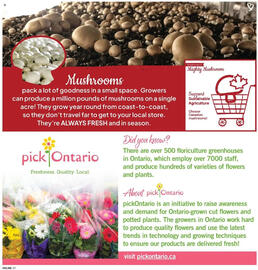 Fortinos flyer week 31 Page 17