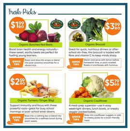 Healthy Planet flyer Page 2